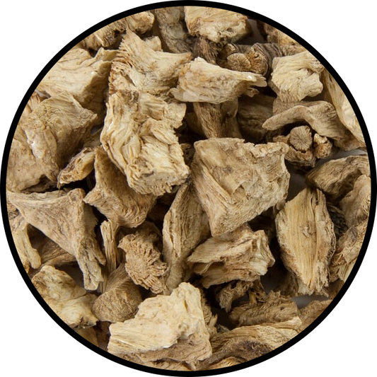 Angelica Root