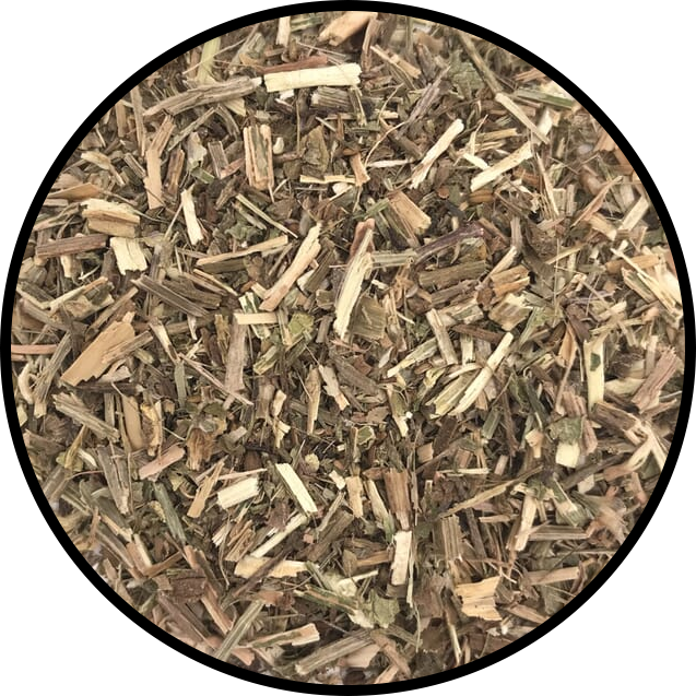 Vervain