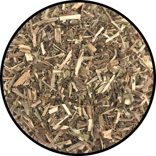 Vervain