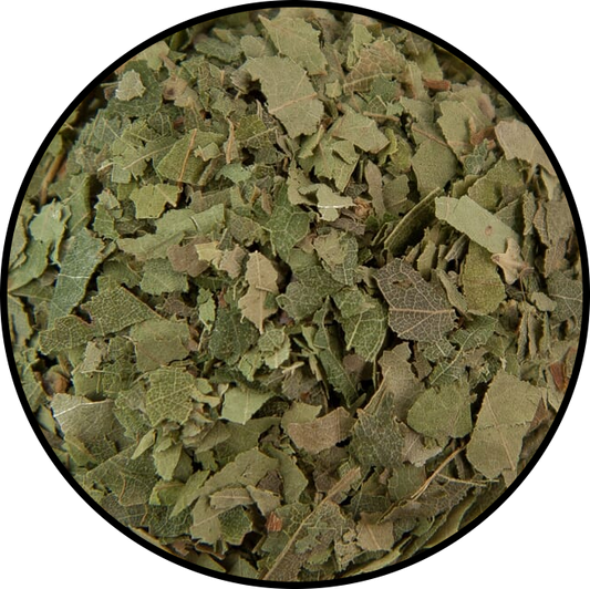 Birch Leaves