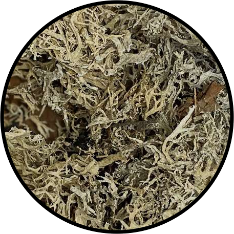 Oakmoss