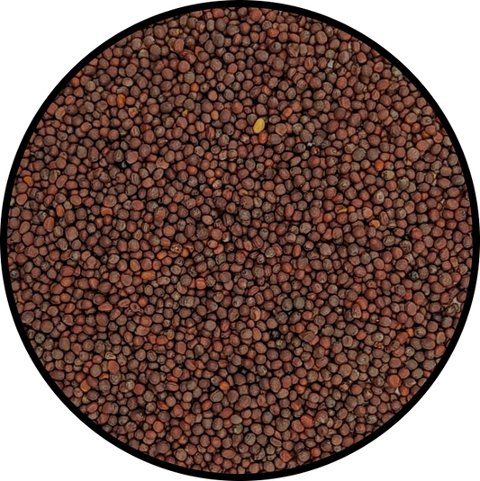 Black Mustard Seeds