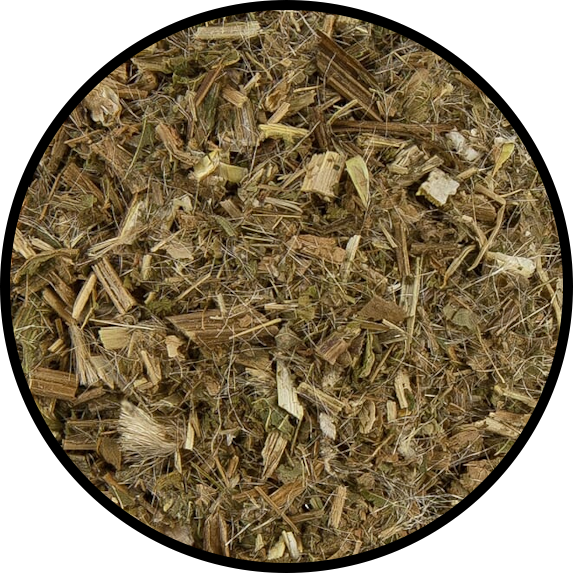Blessed Thistle