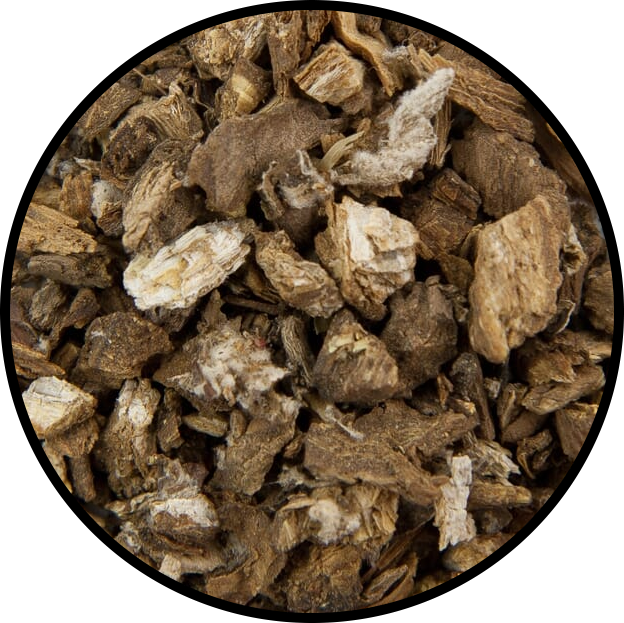 Burdock