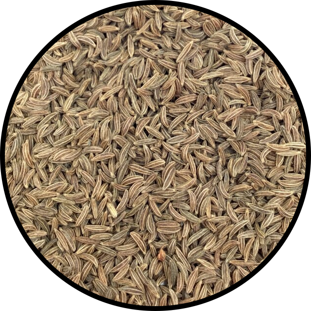 Caraway