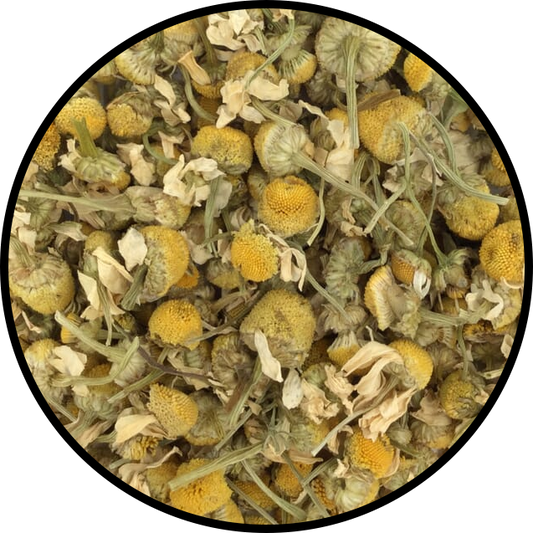 Chamomile