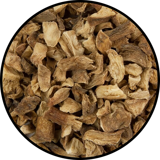 Chicory