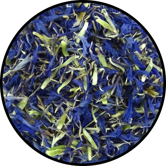 Cornflower