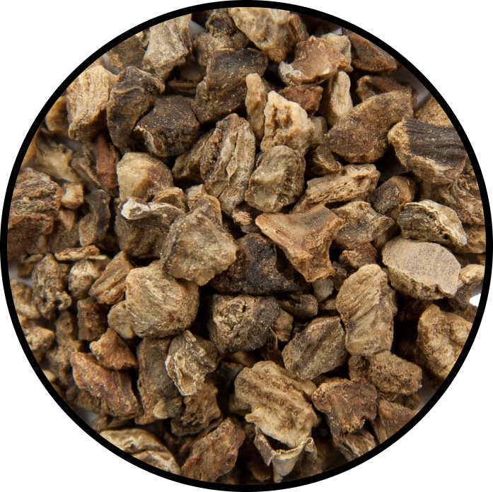 Devil's Claw Root
