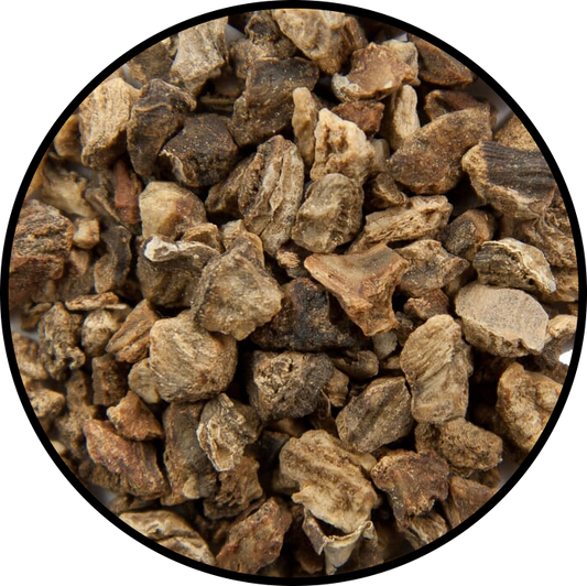 Devil's Claw Root