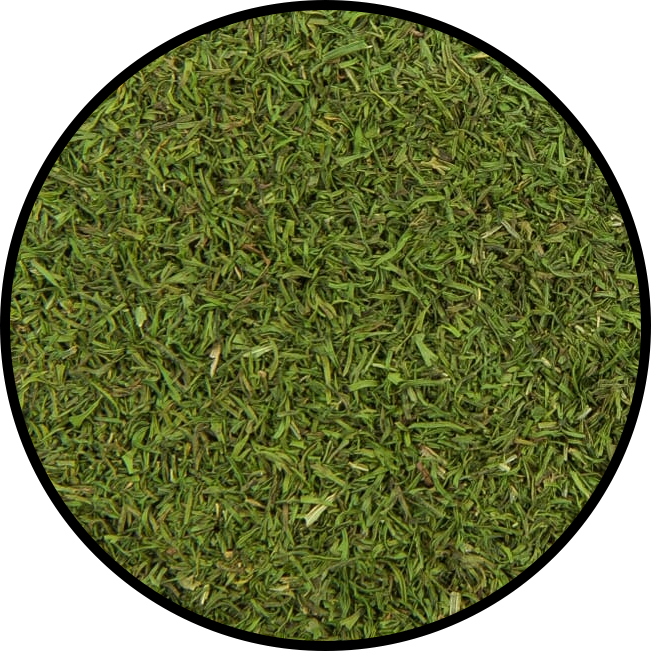 Dill