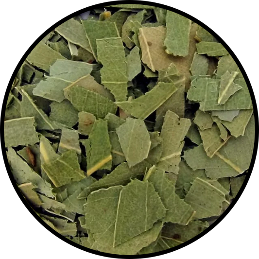 Eucalyptus Leaf