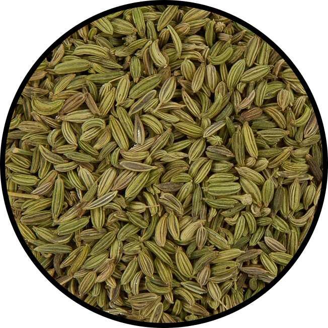 Fennel Seeds