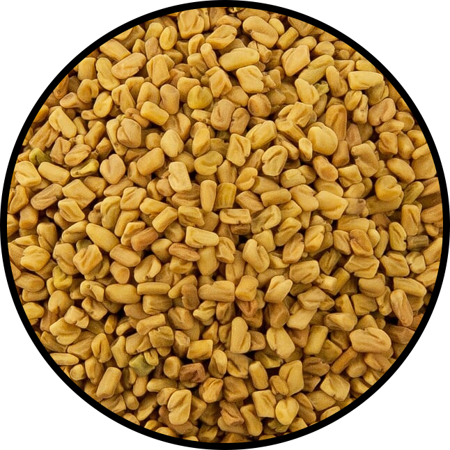 Fenugreek Seeds