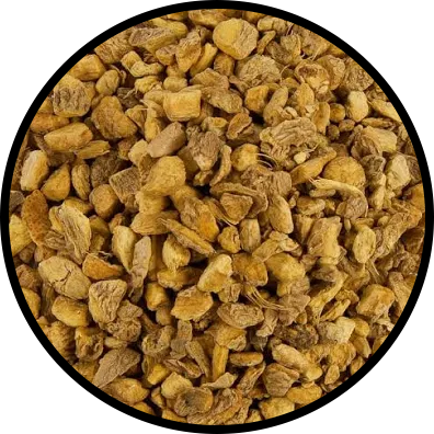 Ginger