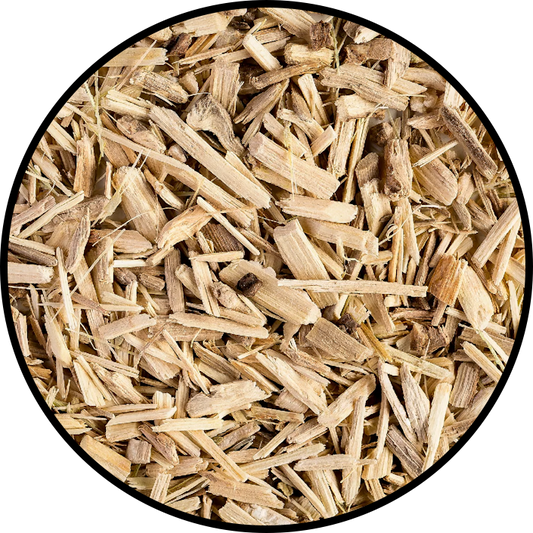 Ginseng