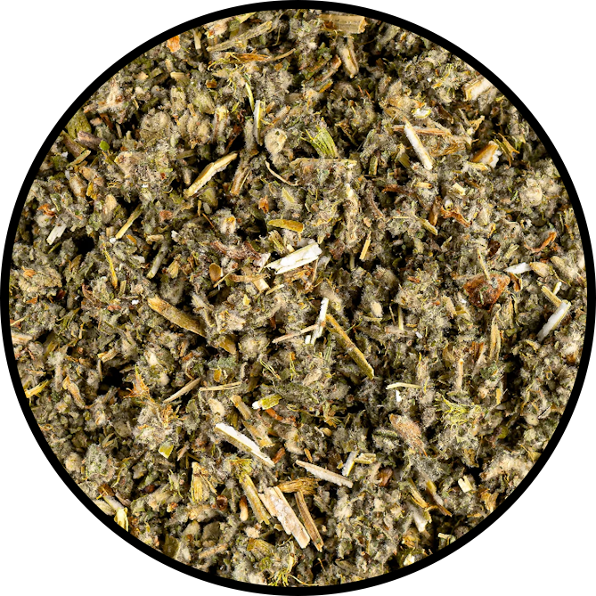 Horehound