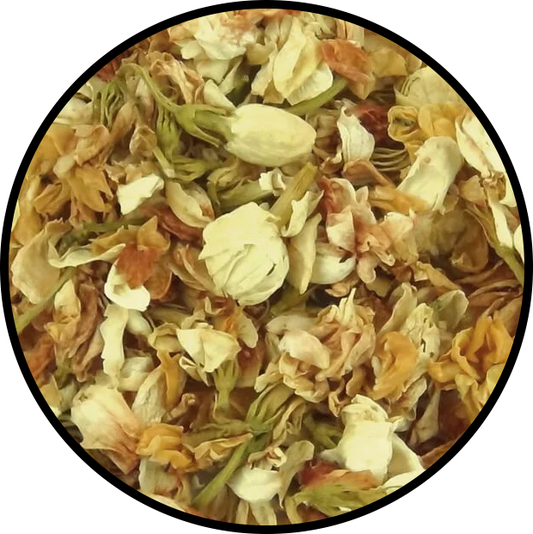 Jasmine