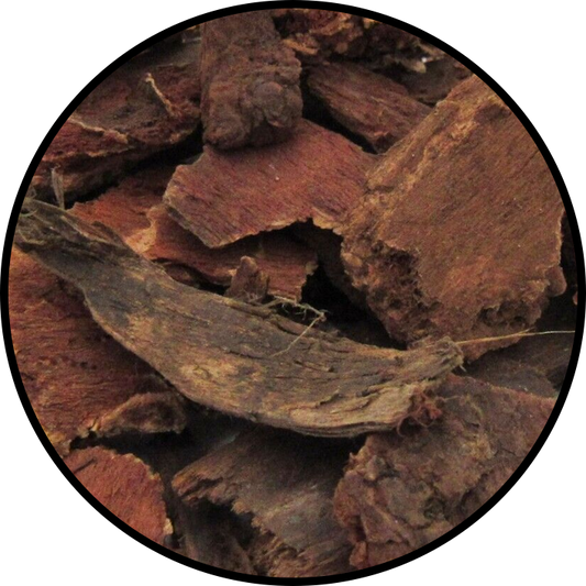 Jezebel Root