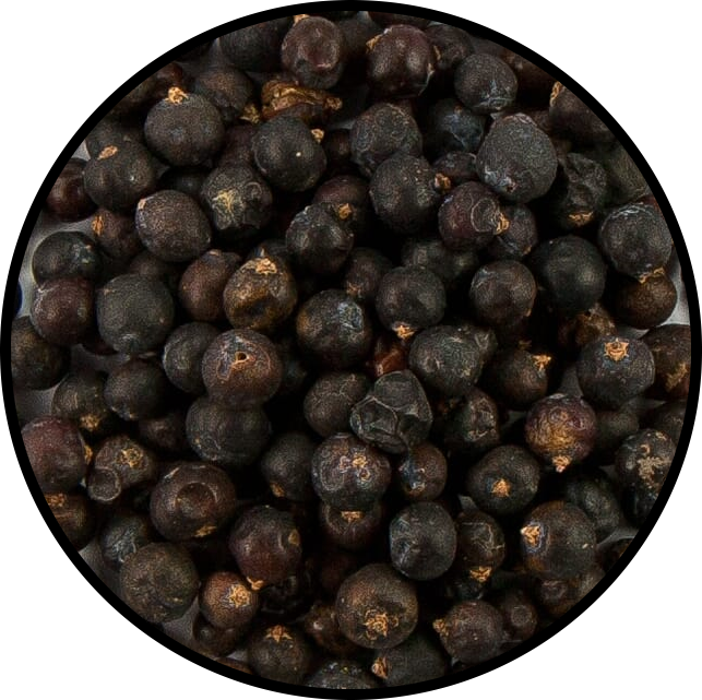 Juniper Berry