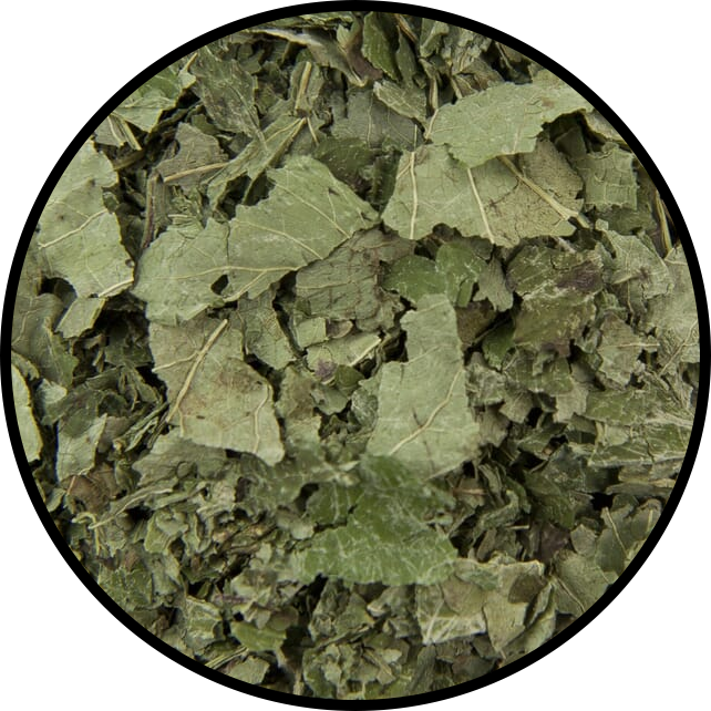 Lemon Balm
