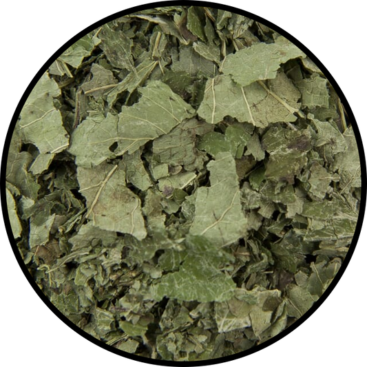 Lemon Balm