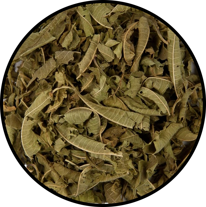 Lemon Verbena