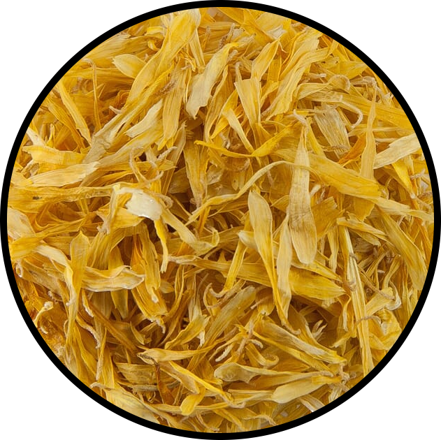 Marigold
