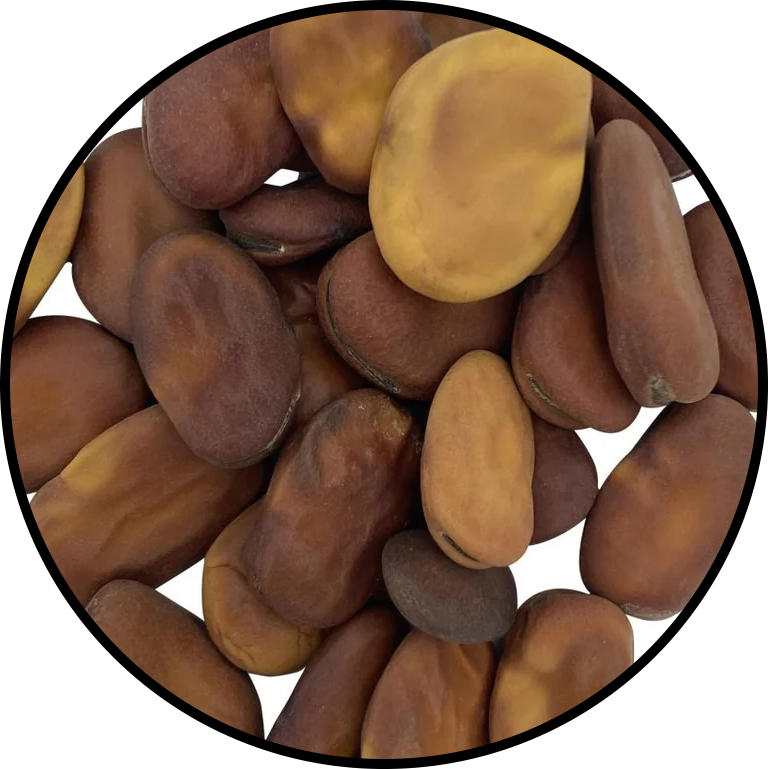 Mojo Beans