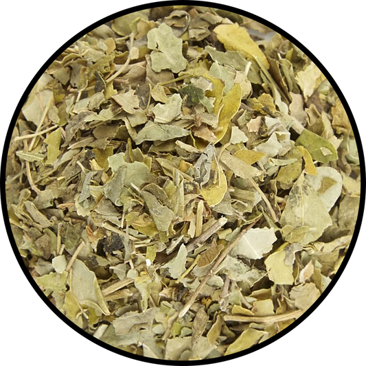 Moringa Leaves