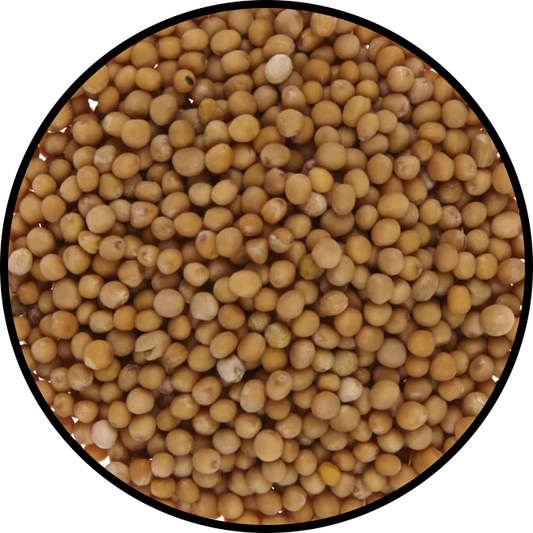 Mustard Seeds