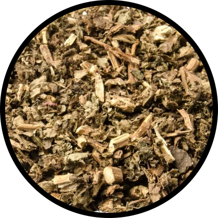 Patchouli Leaf