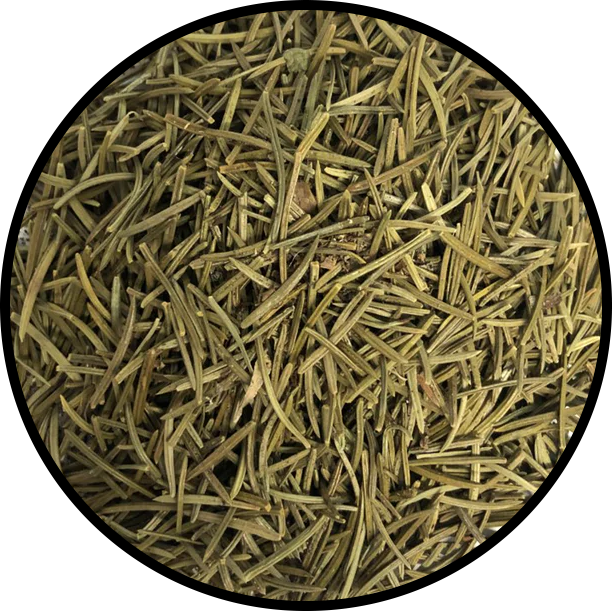 Pine Needles