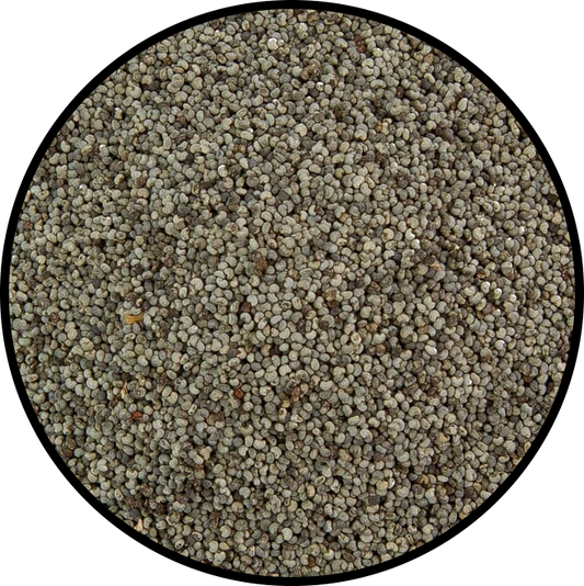 Poppy Seeds