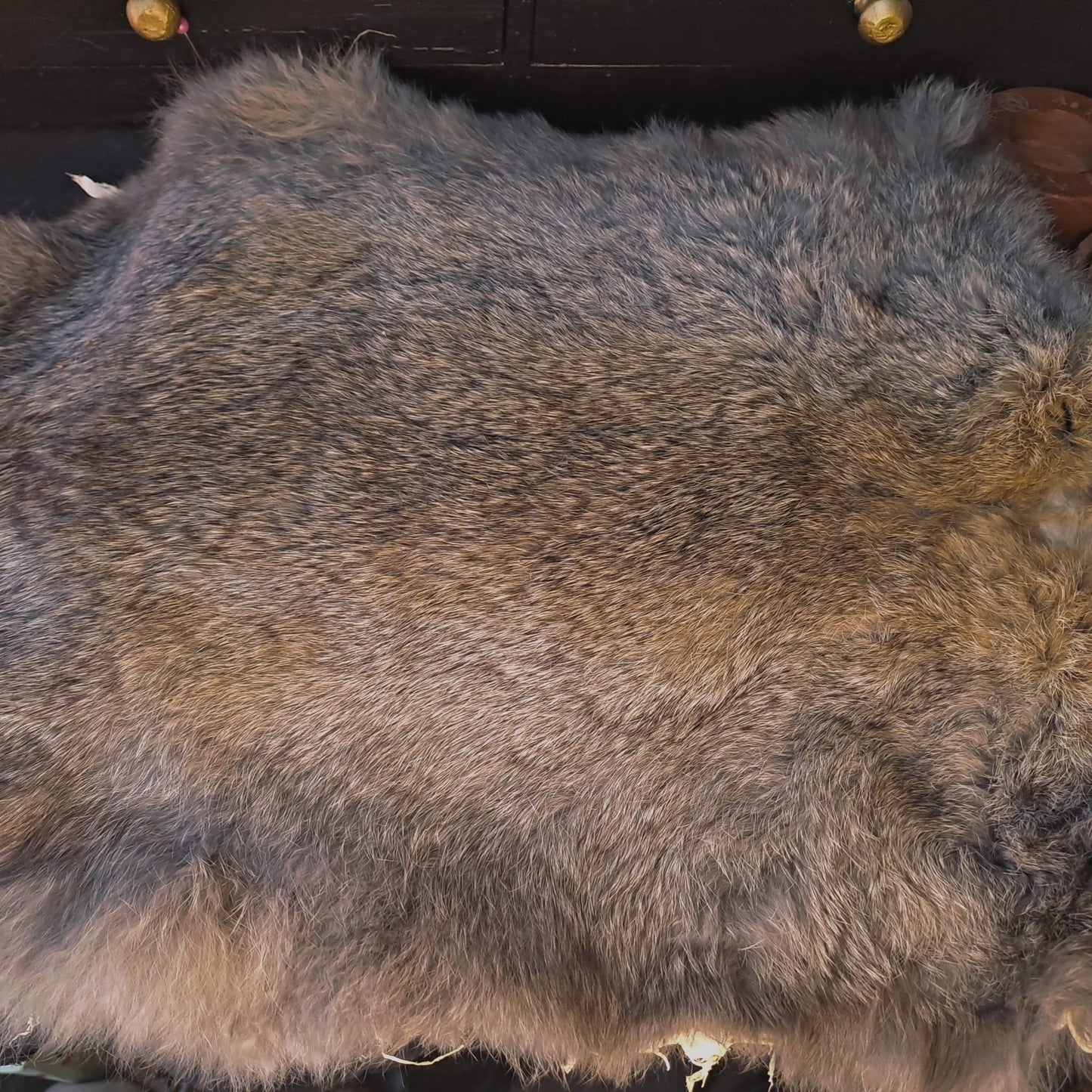 Hecate Rabbit Furskin