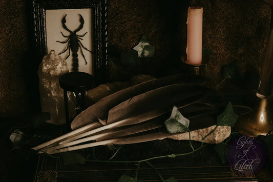 Goose Feathers