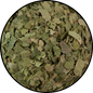 Birch Leaves