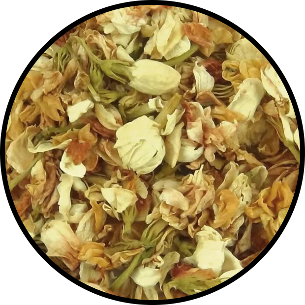 Jasmine