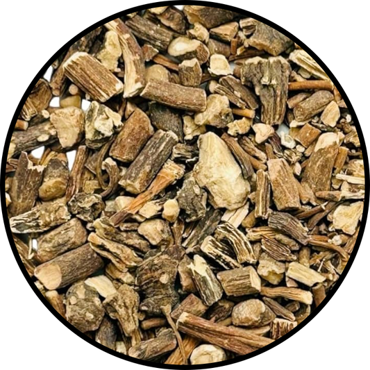 American Mandrake