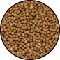 Mustard Seeds