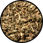 Patchouli Leaf