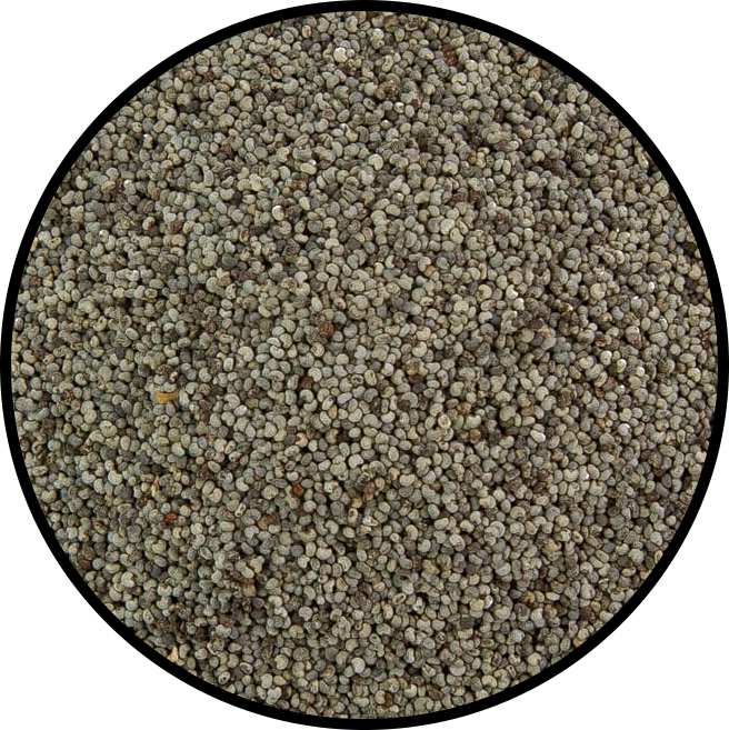 Poppy Seeds