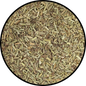 Rosemary