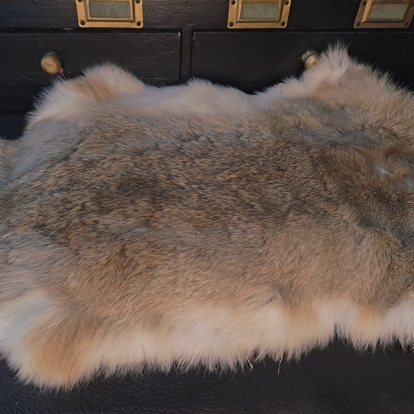 Asmodeus Rabbit Furskin