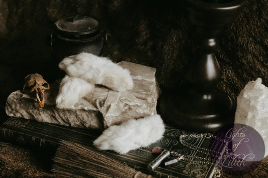 Lucky Rabbit's Foot