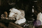 Lucky Rabbit's Foot